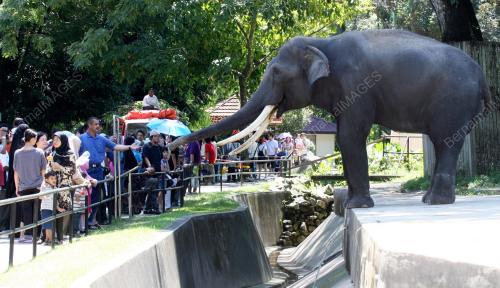 ZOO NEGARA