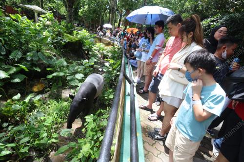 ZOO NEGARA DIPENUHI PENGUNJUNG