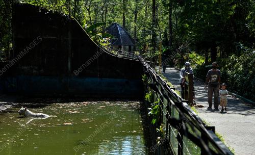 TINJAUAN HARI PERTAMA ZOO NEGARA DIBUKA SEMULA SEMPENA PKPB
