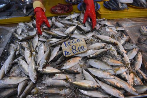 KL13_06012019_BEKALAN_IKAN
