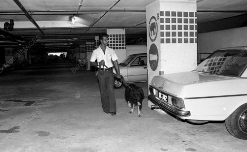 DEMONSTRASI ANJING