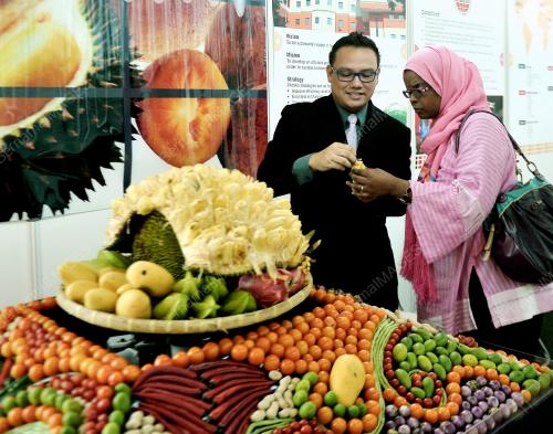 KL13_06102012_IAACA_FAMA