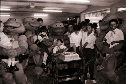 MUTANT NINJA TURTLES