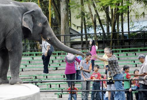 ZOO NEGARA