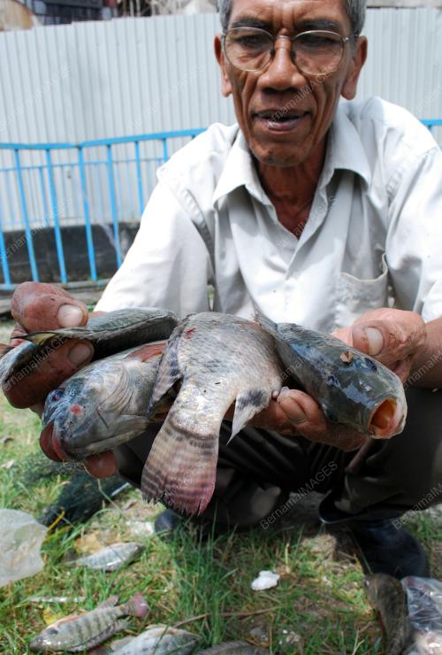 TANGKAPAN IKAN