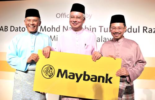 DATUK SERI MOHD NAJUB TUN ABDUL RAZAK