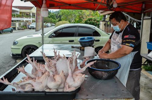 TINJAUAN BEKALAN AYAM MENTAH