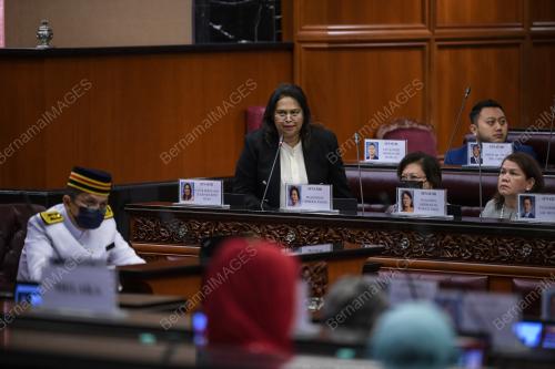 SENATOR DATUK SERI ZURAINAH MUSA