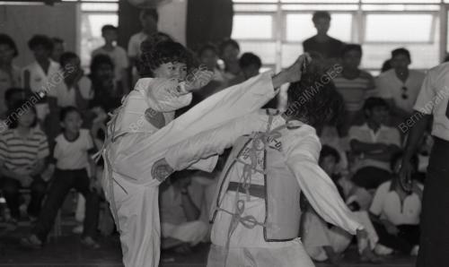 KEJOHANAN TAEKWONDO KEBANGSAAN