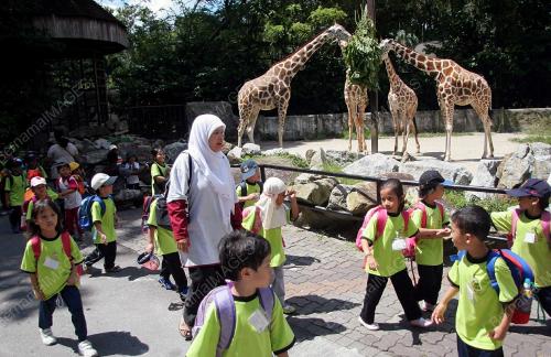 ZOO