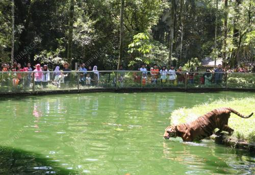 ZOO NEGARA