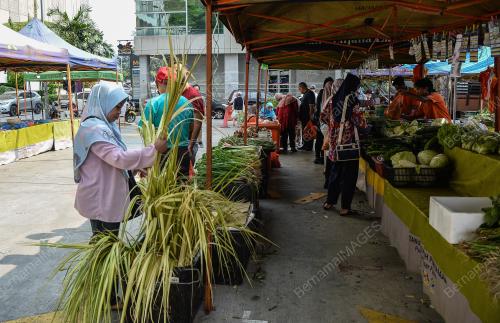 TINJAUAN PASAR TANI