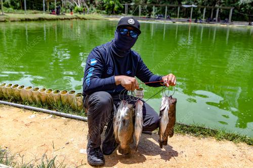 MEMANCING KOLAM