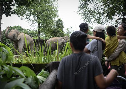 KL13_17062018_ZOO
