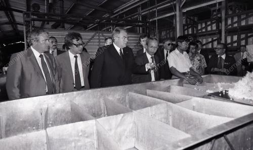 DISEMBER 1982