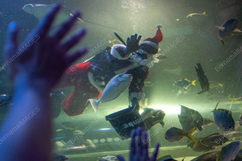 PERSEMBAHAN SANTA CLAUS AQUARIA
