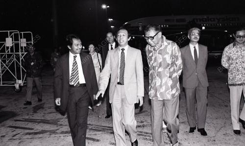MUSA HITAM