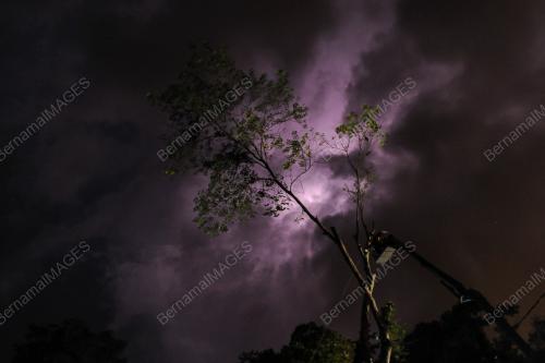 KL13_21042017_POKOK