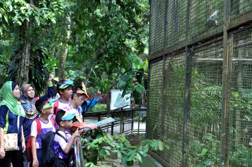 KL13_22082013_ZOO