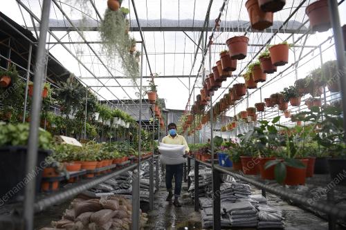 TINJAUAN CUTI HUJUNG MINGGU