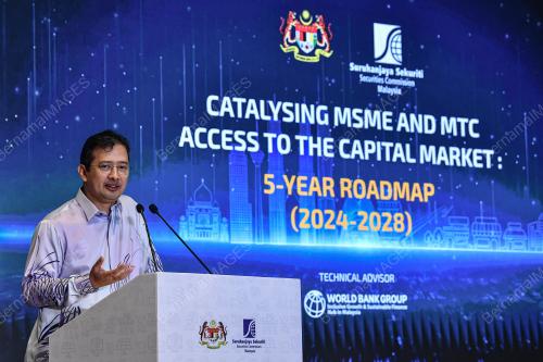 DATUK JOHAN MAHMOOD MERICAN