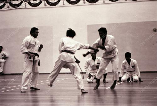SENI SILAT POLIS