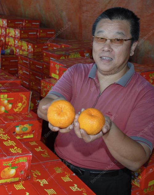 TAHUN BARU CINA