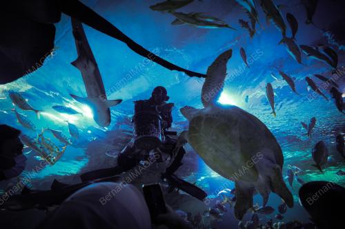 TINJAUAN CUTI UMUM AQUARIA