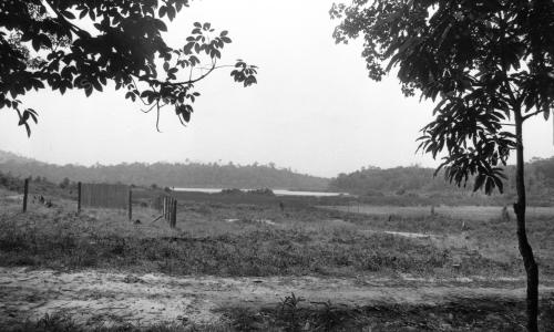 KL13_28012015_TASIK_CHINI
