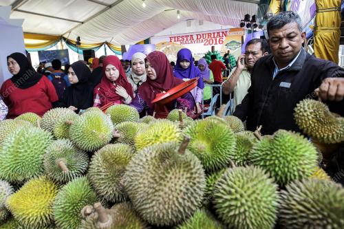 KL13_30072016_DURIAN
