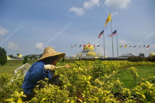 PERTABALAN YANG DI-PERTUAN AGONG