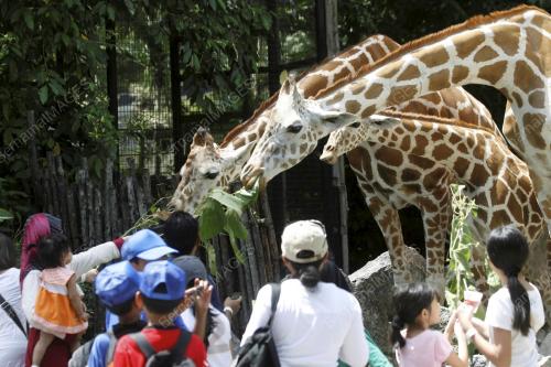 ZOO NEGARA
