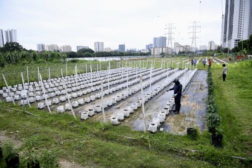 PROJEK KEBUN BANDAR HIJRAH WARRIOR