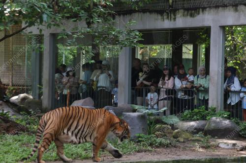 ZOO NEGARA DIPENUHI PENGUNJUNG