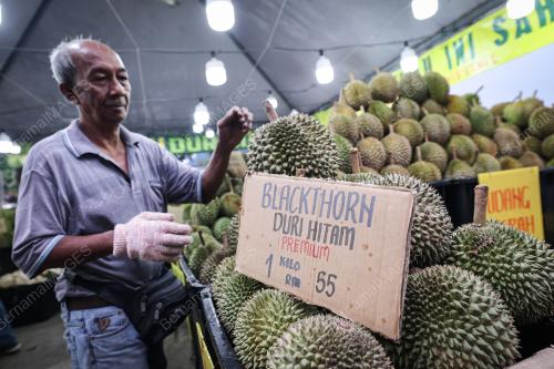 RIZKY DURIAN