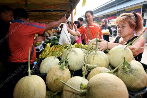 KL14_06042018_AGRO