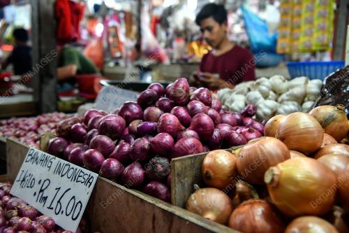 TINJAUAN HARGA BAWANG NAIK MENDADAK
