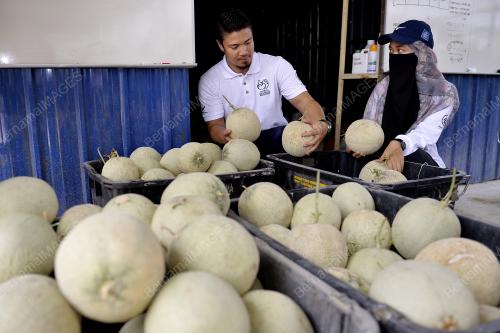 KL14_07072018_MELON_BN201807062408