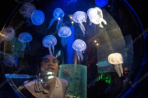 KL14_09092018_CUTI_BN201809087717