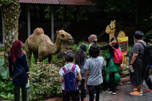 TINJAUAN PERINTAH KAWALAN PERGERAKAN BERSYARAT (PKPB)