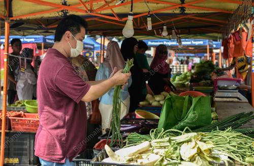 TINJAUAN PASAR TANI