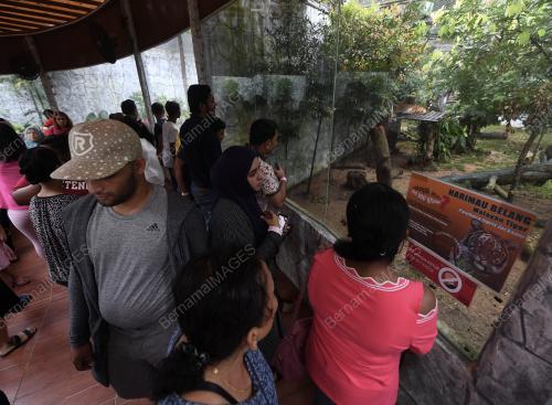 KL14_17062018_ZOO
