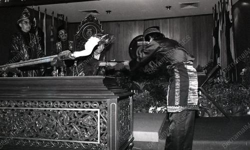 SULTAN ISKANDAR