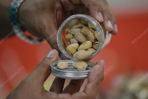 TINJAUAN KACANG PISTACHIO
