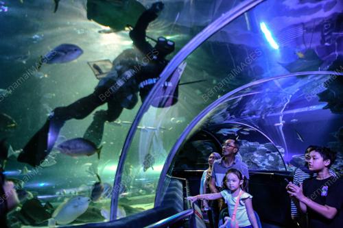 TINJAUAN AQUARIA KLCC