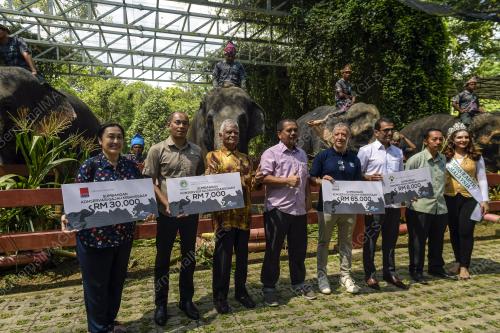 HARI GAJAH SEDUNIA