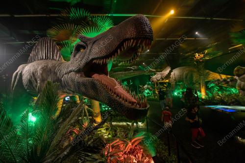 TUKANG JAHIT DINOSAUR DI PAMERAN DINOSAUR ENCOUNTER PUSAT SAINS