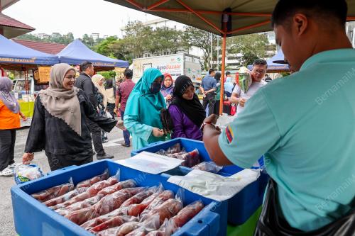 PROGRAM JUALAN AGRO MADANI