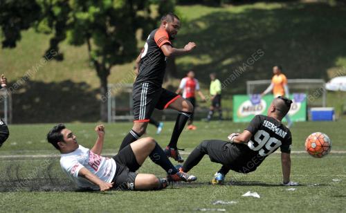 KL14_31012016_MEDIA_MSN