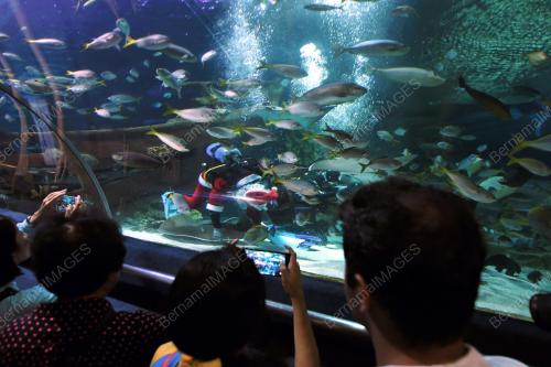 KL15_01012018_AQUARIA_BN201712315050